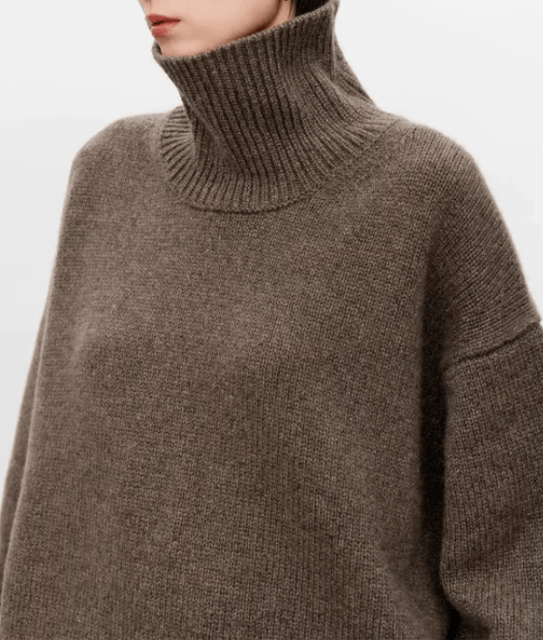 ELIANA I Pullover mit Rollkragen